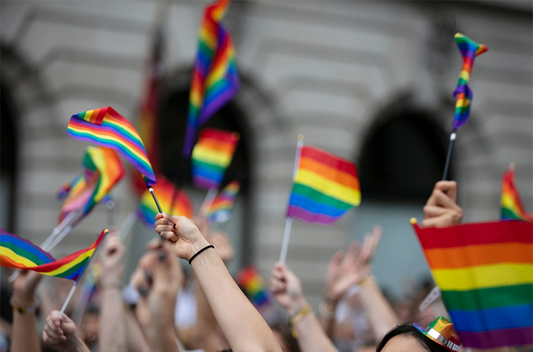Crowds of people wave gay pride flags at a solidarity march